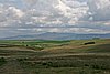 IMG_1925.JPG