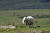 IMG_1943.JPG