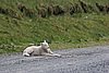IMG_1972.JPG