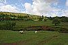 IMG_2029.JPG