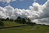 IMG_2031.JPG