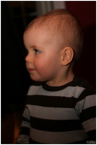 IMG_8772.JPG