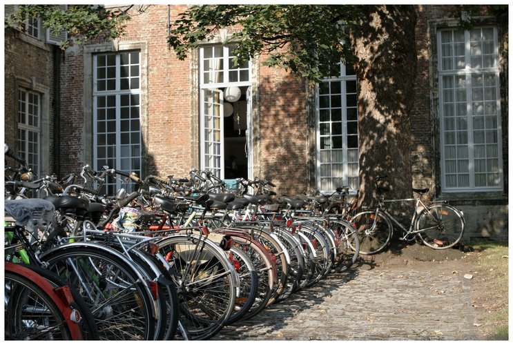 Leuven (05).JPG