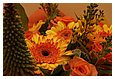 IMG_0811.JPG
