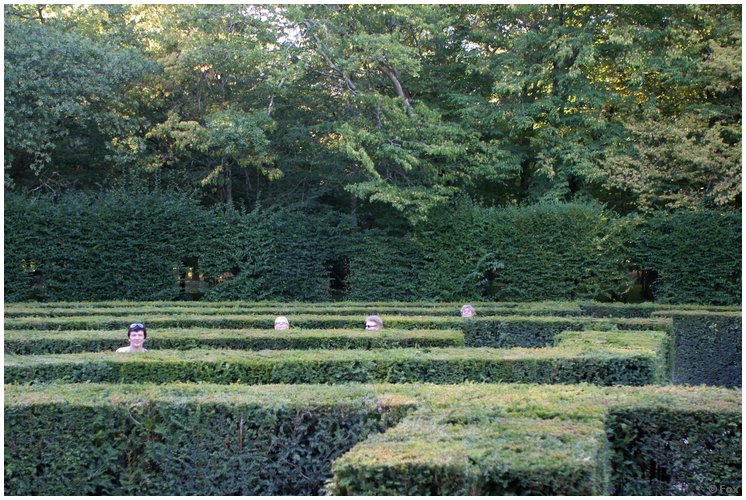 brussel (89).JPG