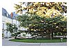 brussel (91).JPG