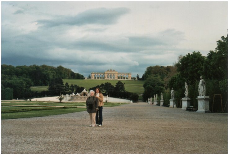 2004_viin.jpg