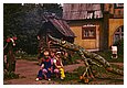 1980_kadriorg.JPG