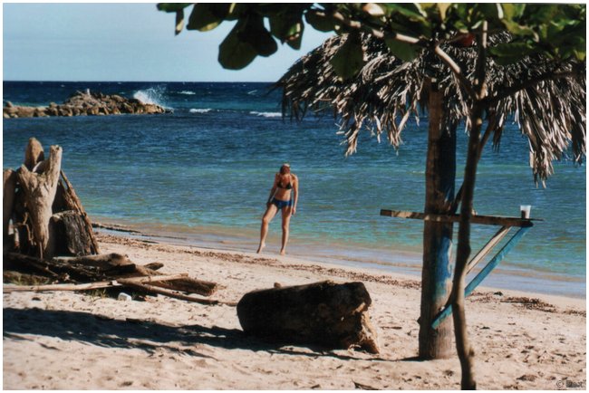 2004_kariib.jpg
